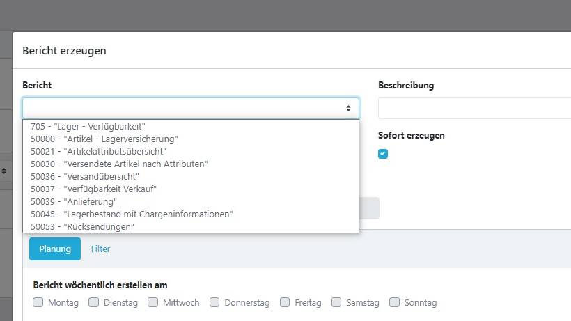 Das Bild zeigt einen Screenshot aus dem RHIEM Services Fulfillment Kundenportales, in welchem Berichte erzeugt werden können