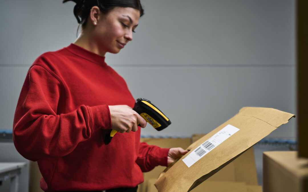 How does outgoing goods work in fulfillment?